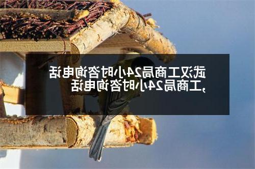 武汉工商局24小时咨询电话,工商局24小时咨询电话